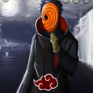 Meet your Posher, Bailey